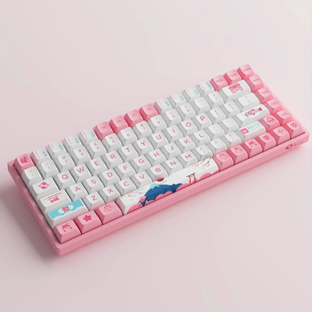 Akko 3084B Plus World Tour Tokyo R2 RGB 75% ANSI CS Jelly Purple