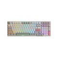 Akko 3098B 9009 Retro RGB 96% ANSI CS Jelly Pink