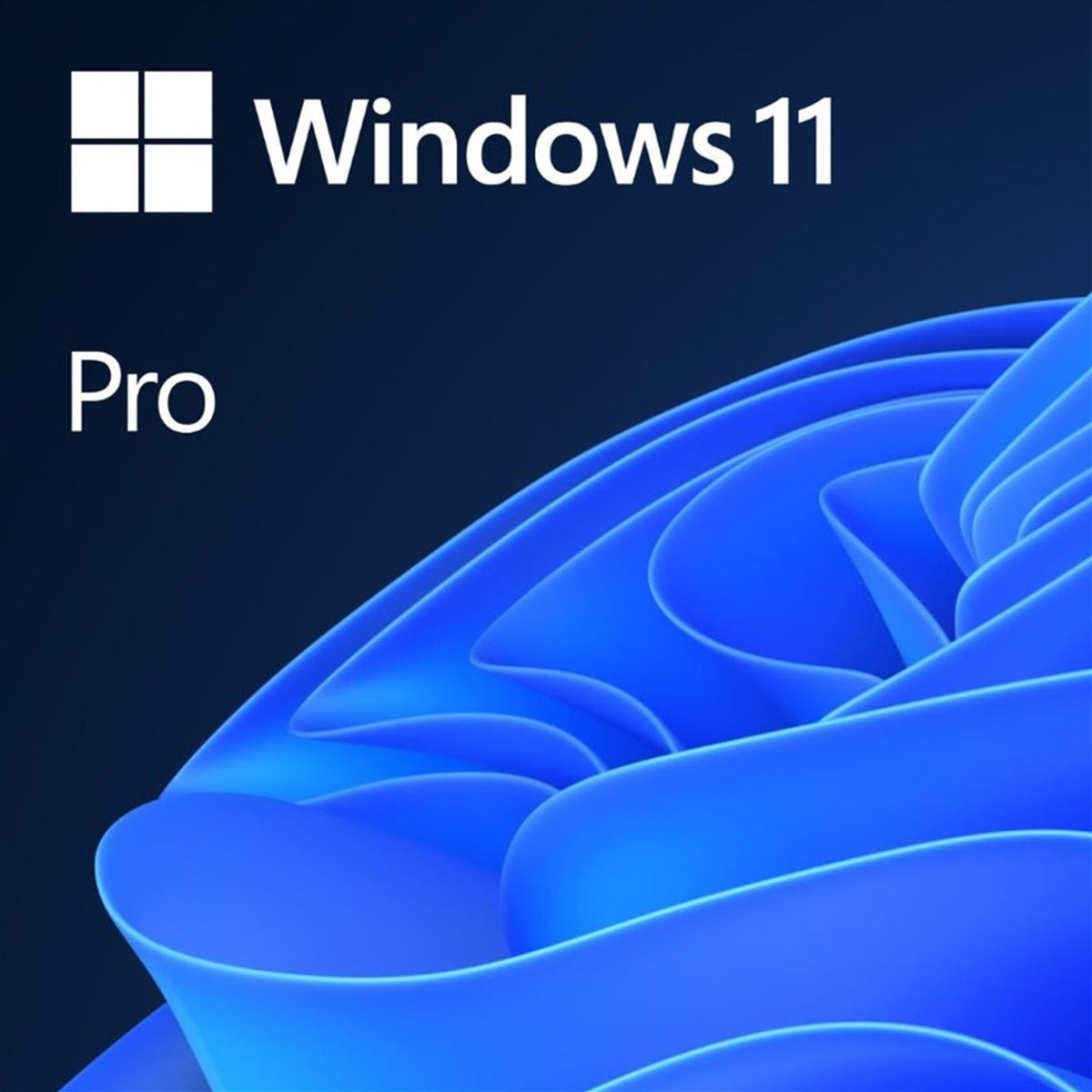 Microsoft Windows 11 Pro 64 Bit Operating System OEM