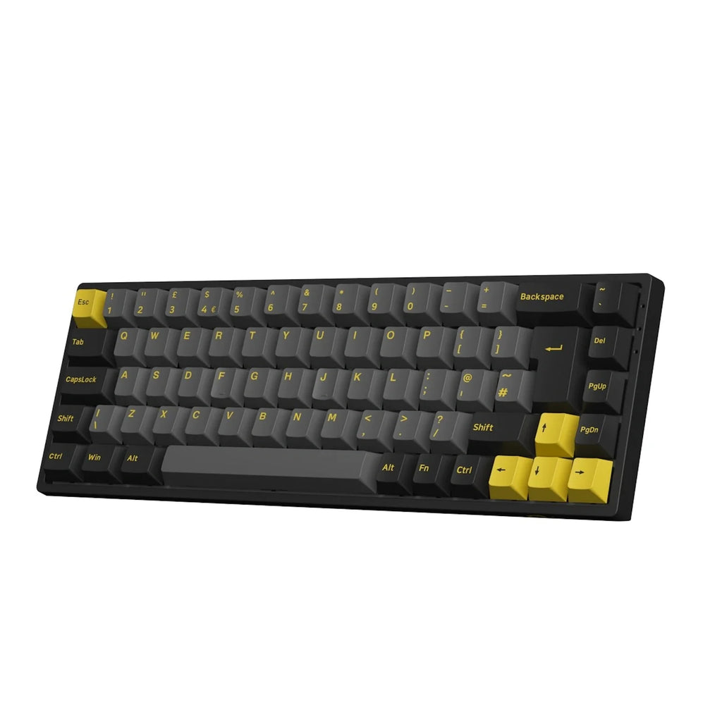 Akko 3068B Plus Black&Gold RGB 65% ISO UK CS Jelly Purple
